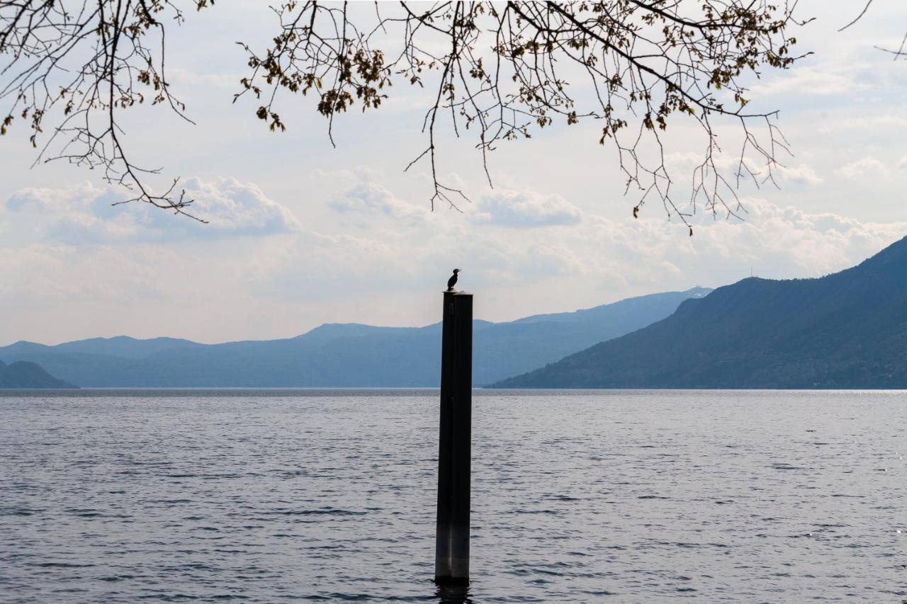 Casa Del Borgo "Terra & Fuoco" Sul Lago Maggiore Maccagno Exterior foto