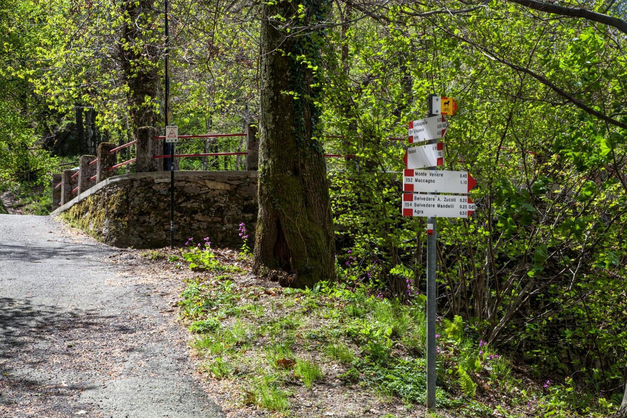 Casa Del Borgo "Terra & Fuoco" Sul Lago Maggiore Maccagno Exterior foto