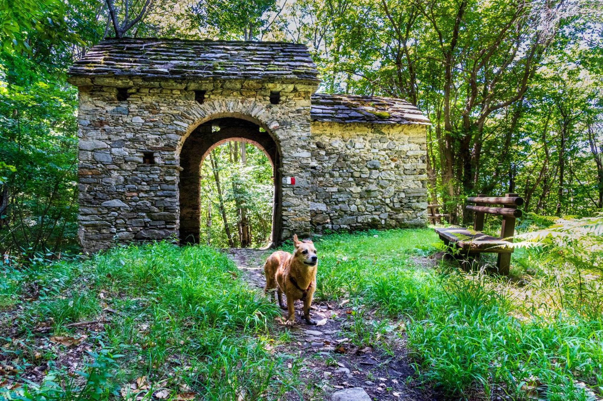 Casa Del Borgo "Terra & Fuoco" Sul Lago Maggiore Maccagno Exterior foto