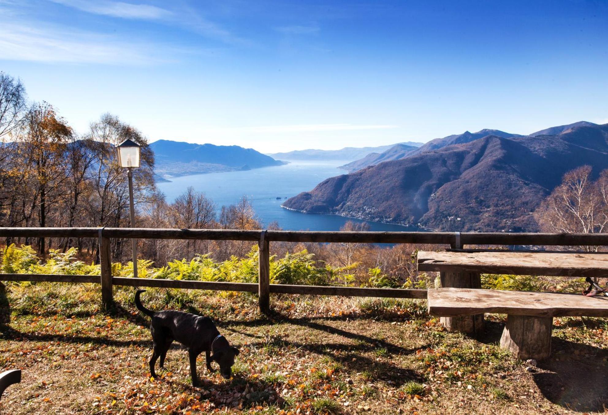 Casa Del Borgo "Terra & Fuoco" Sul Lago Maggiore Maccagno Exterior foto